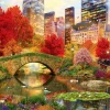 Bluebird Puzzle Central Park in New York - puzzel van 1000 stukjes