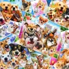 Bluebird Puzzle Collage van dieren selfies - puzzel van 260 stukjes