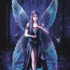 Bluebird Puzzle Enchantment - puzzel van 1000 stukjes