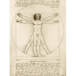 Bluebird Puzzle Leonardo Da Vinci - The Vitruvian Man, 1490 - 1000 stukjes
