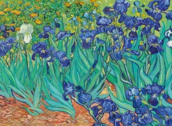 Bluebird Puzzle Vincent Van Gogh - Irissen - puzzel van 3000 stukjes