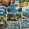 Cobble Hill Allemaal vissen - puzzel van 1000 stukjes