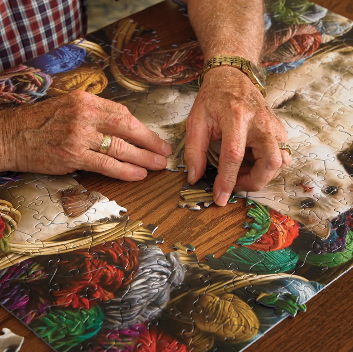 Cobble Hill De kippen doen het goed - puzzel van 275 XXL stukjes