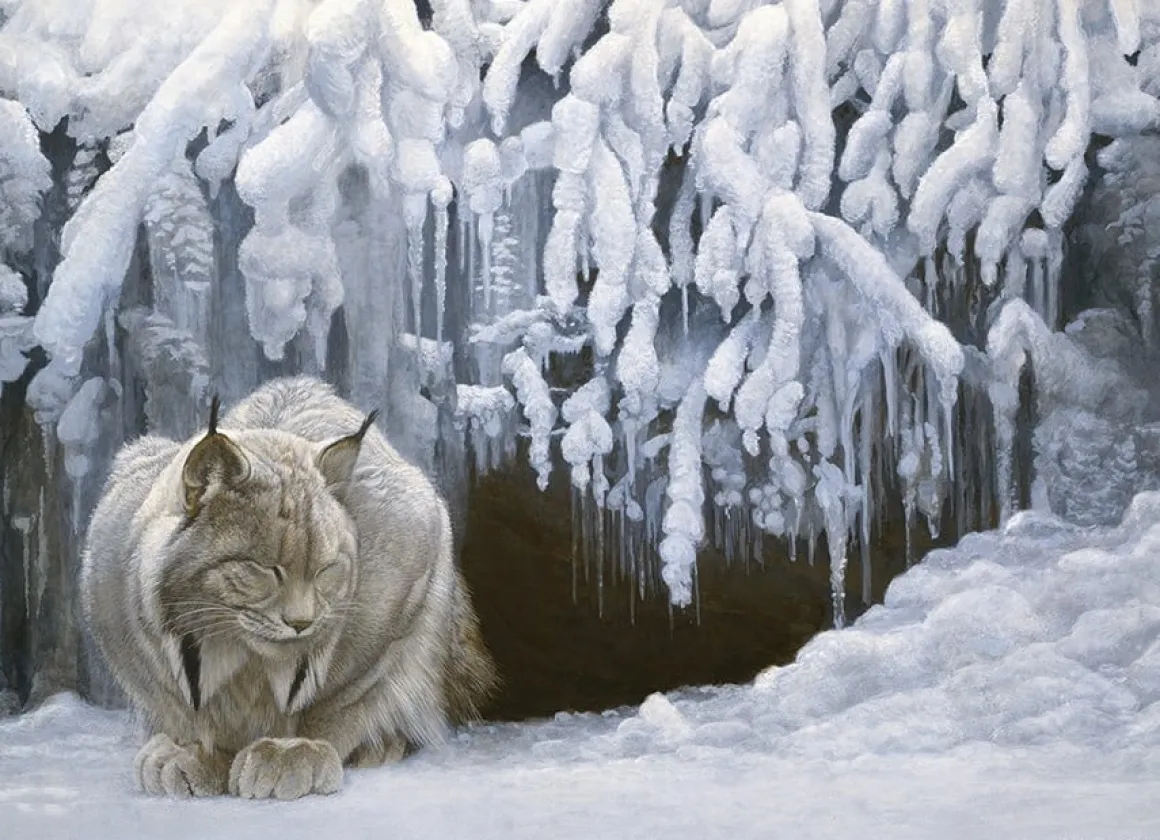 Cobble Hill Dommelende Lynx - puzzel van 1000 stukjes
