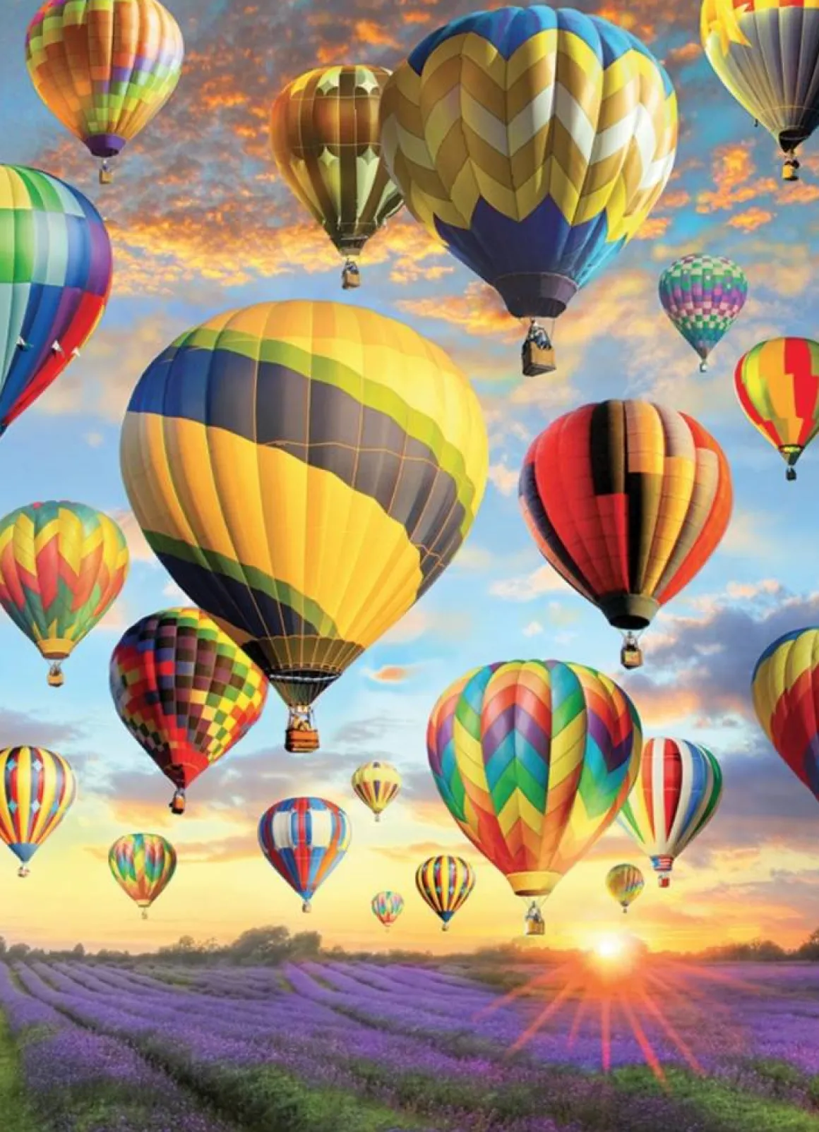 Cobble Hill Luchtballonnen - puzzel van 1000 stukjes