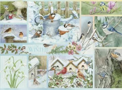 Cobble Hill Tuinvogels in de Winter - puzzel van 500 XL stukjes