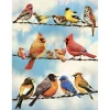 Cobble Hill Vogels op de draad - puzzel van 500 XL stukjes