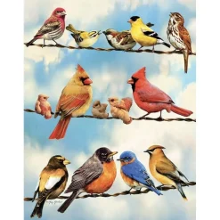 Cobble Hill Vogels op de draad - puzzel van 500 XL stukjes
