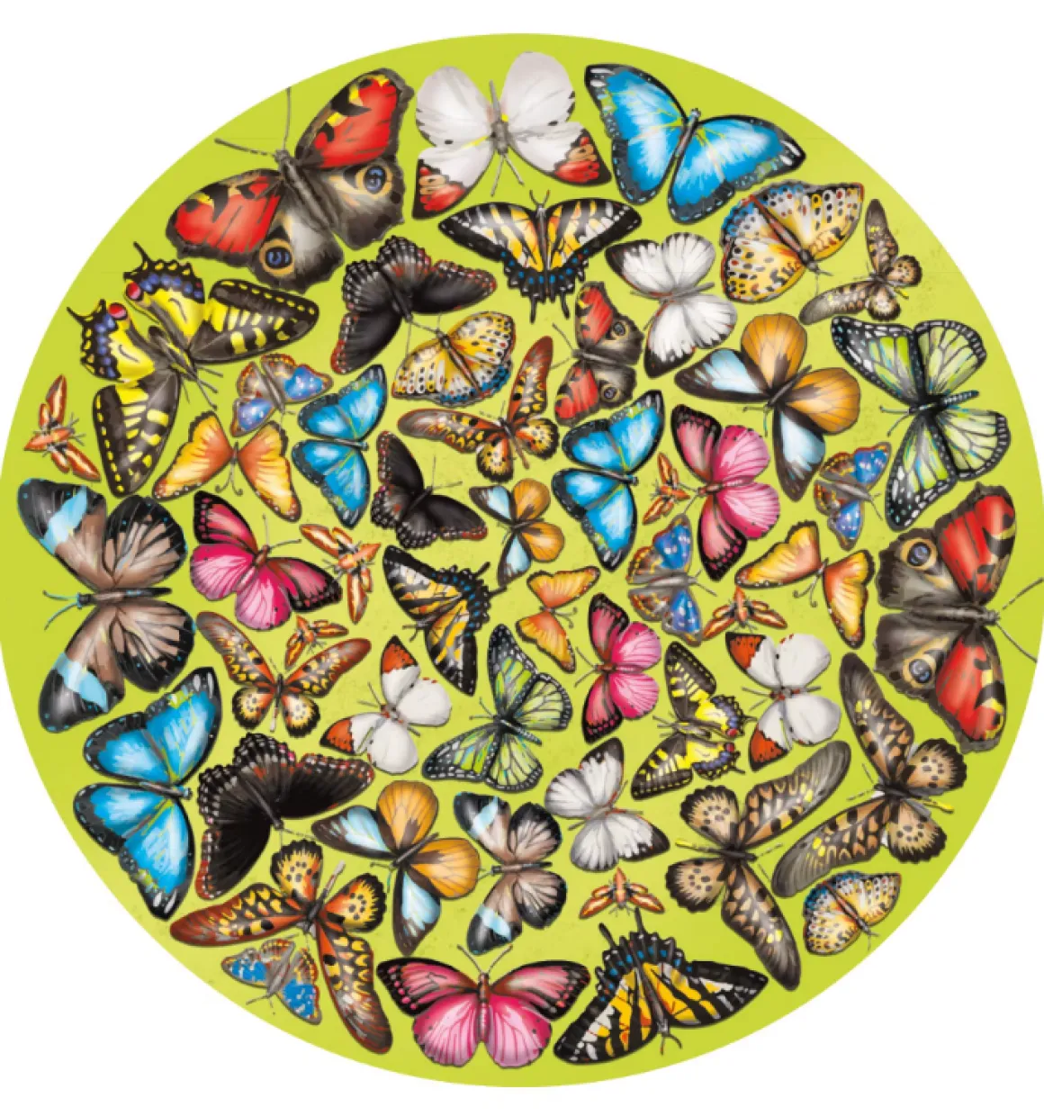 Curiosi Papillon - Dubbelzijdige Ronde puzzel in hout - 424 stukjes