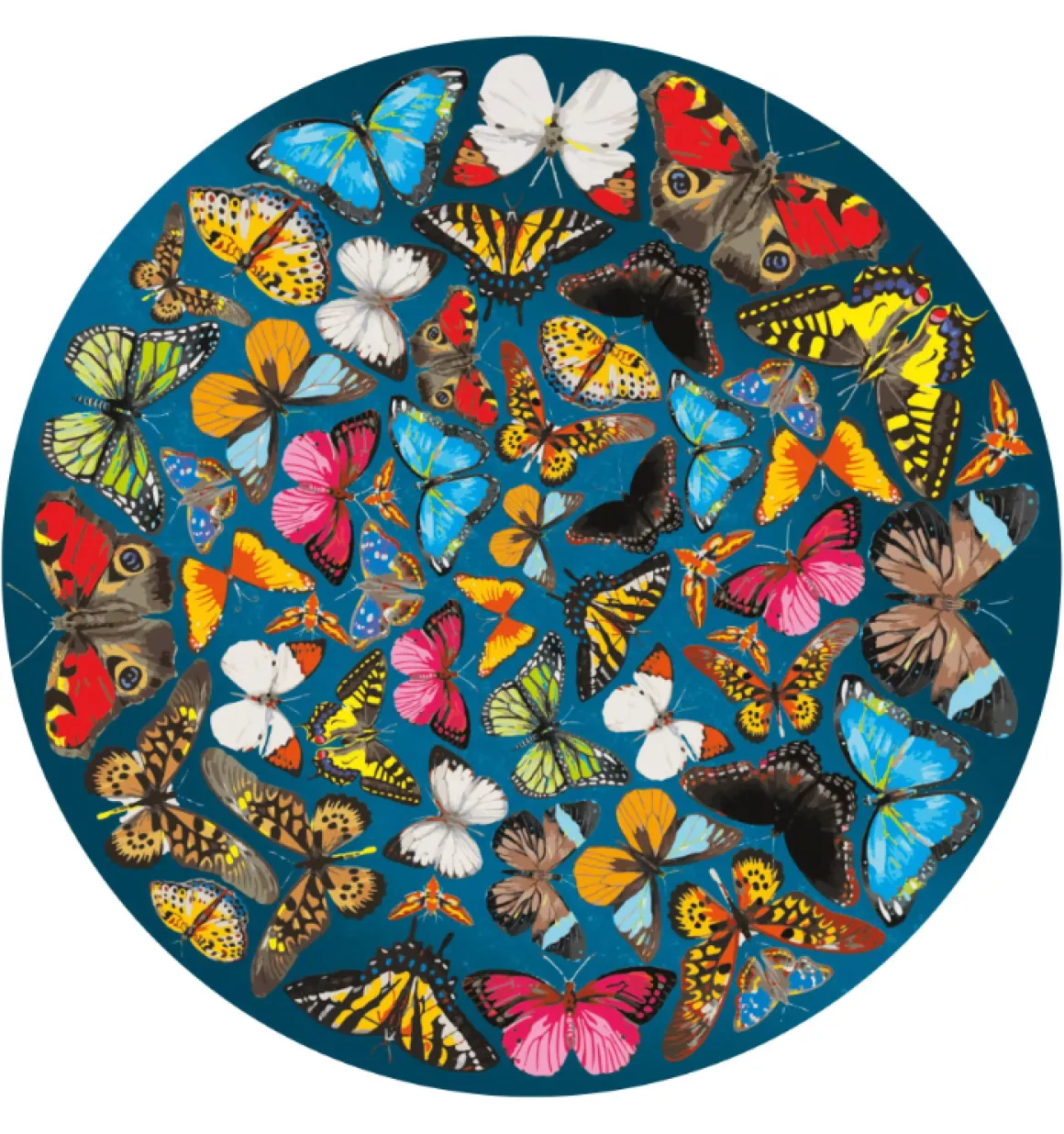 Curiosi Papillon - Dubbelzijdige Ronde puzzel in hout - 424 stukjes