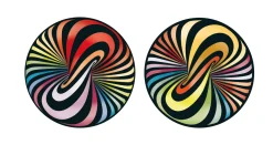 Curiosi Puzzel Double Lolly - Dubbelzijdige puzzel in Hout - 88 stukjes