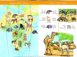 Djeco De dierenwereld - puzzel van 100 stukjes