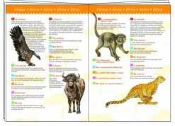 Djeco Dinosaurussen - puzzel van 100 stukjes