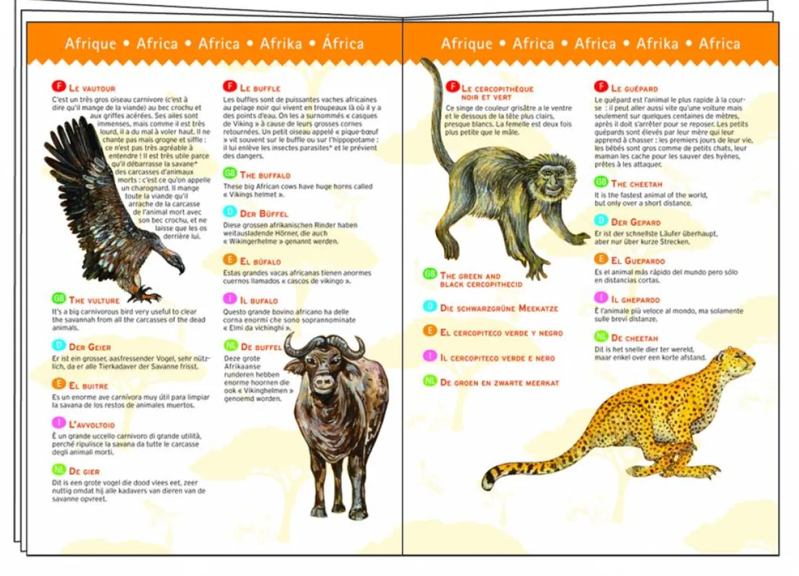 Djeco Dinosaurussen - puzzel van 100 stukjes