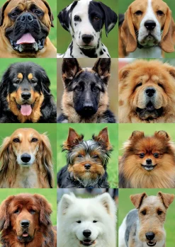 Educa Allemaal honden - legpuzzel van 500 stukjes