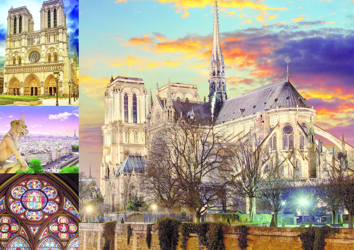 Educa Collage van de Notre Dame - puzzel 1000 stukjes