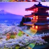 Educa De Fuji vulkaan in Japan - puzzel 2000 stukjes