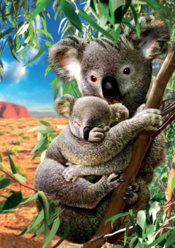Educa De Koala en zijn kleintje - legpuzzel van 500 stukjes