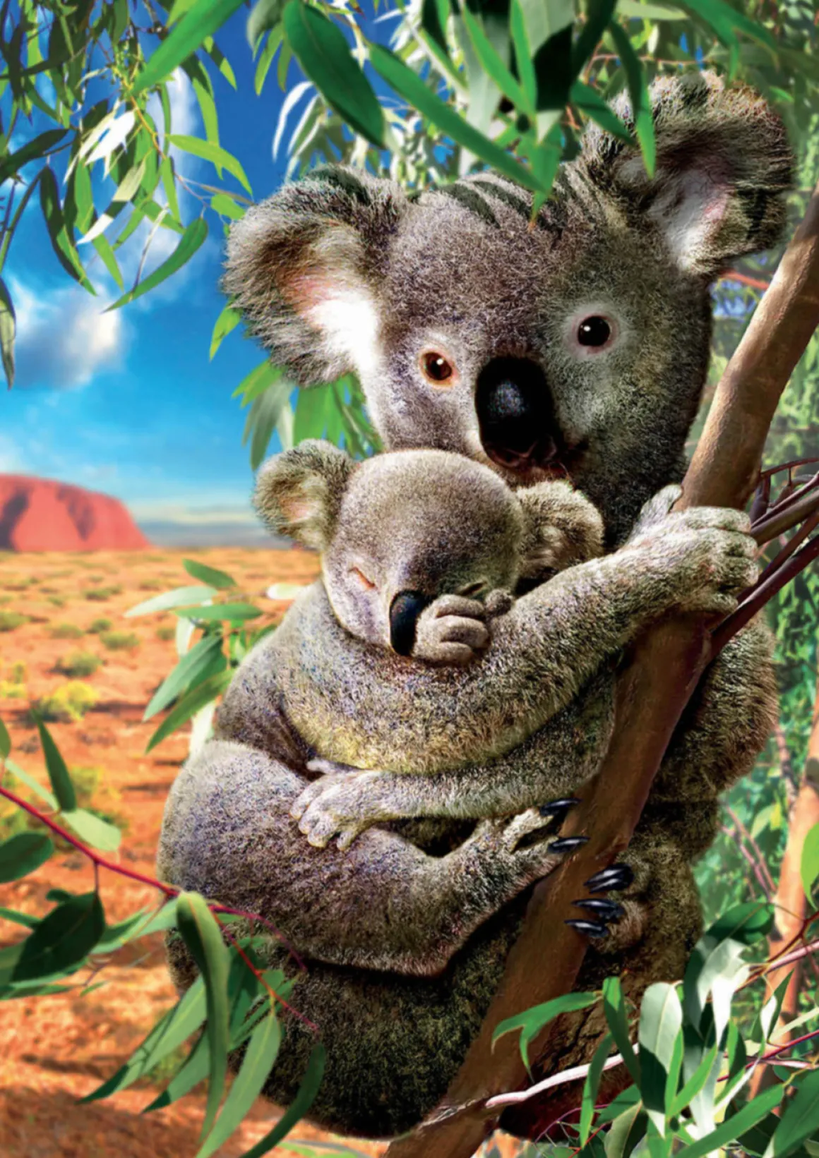 Educa De Koala en zijn kleintje - legpuzzel van 500 stukjes