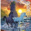 Educa Eenhoorns op het strand - legpuzzel van 1000 stukjes