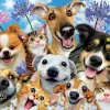 Educa Fun in the sun Selfie - legpuzzel van 500 stukjes