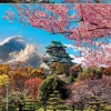 Educa Kasteel van Osaka - puzzel van 2000 stukjes
