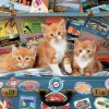 Educa Katjes op reis - puzzel van 200 stukjes