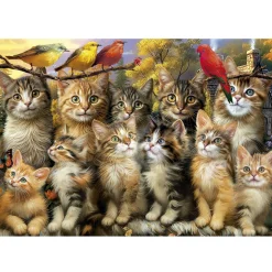 Educa Katten en Vogels - legpuzzel van 500 stukjes