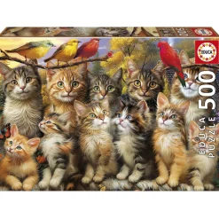 Educa Katten en Vogels - legpuzzel van 500 stukjes