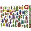 Educa Kevers - legpuzzel van 500 stukjes