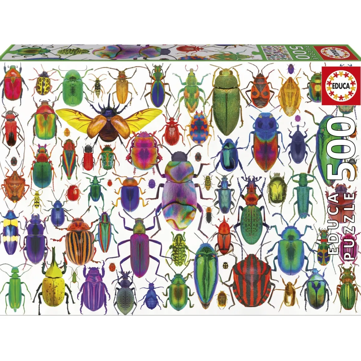 Educa Kevers - legpuzzel van 500 stukjes