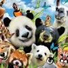 Educa Llama Drama Selfie - legpuzzel van 1000 stukje