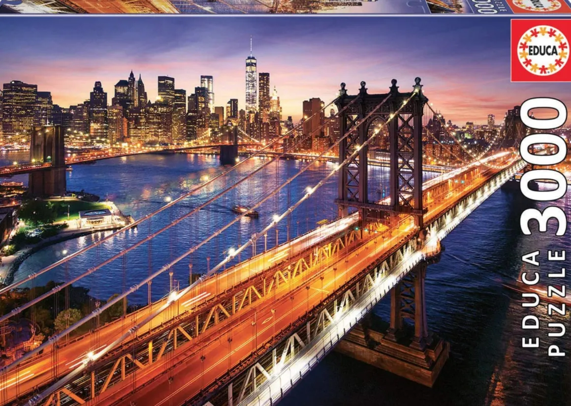 Educa Manhattan in New York - puzzel van 3000 stukjes