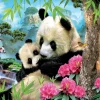 Educa Panda's - legpuzzel van 1000 stukjes