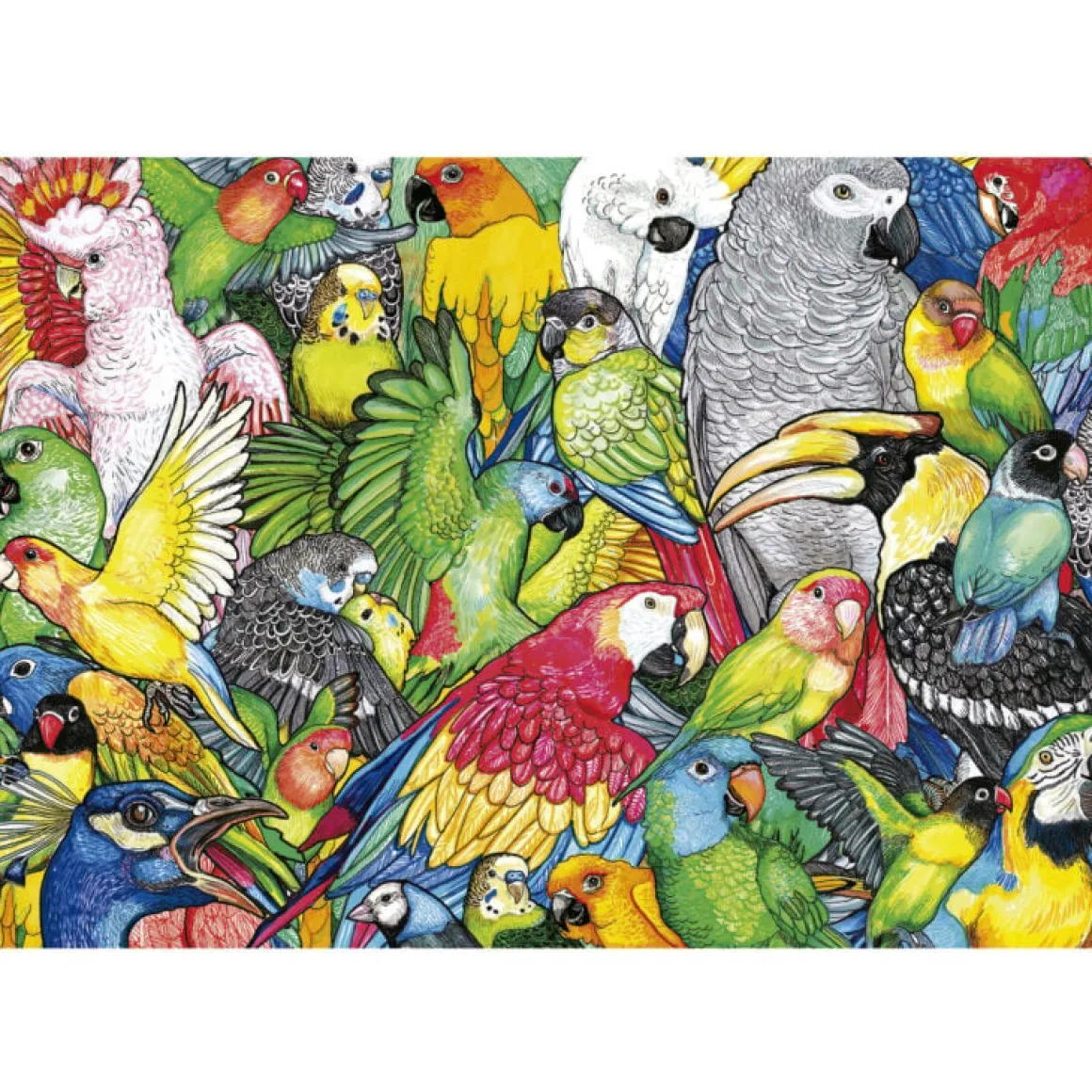 Educa Papegaaien - legpuzzel van 500 stukjes