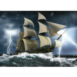 Educa Perfecte Storm - puzzel 1000 stukjes