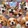 Educa Puppies Selfie, Howard Robinson - puzzel 1000 stukjes