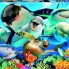 Educa Selfie onder water - legpuzzel van 500 stukjes