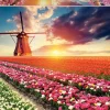 Educa Tulpenlandschap- legpuzzel van 1500 stukjes