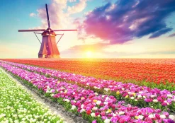 Educa Tulpenlandschap- legpuzzel van 1500 stukjes