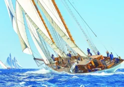 Educa Zeilboot op zee - puzzel 1000 stukjes