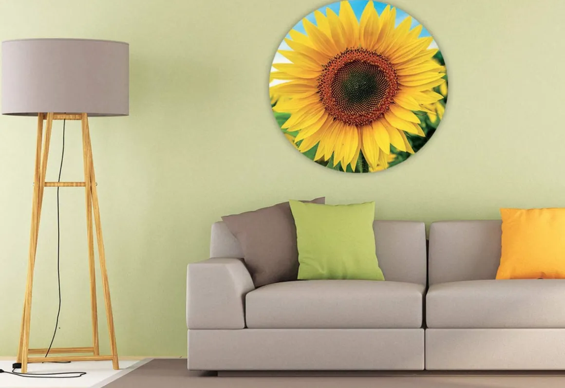 Educa Zonnebloem - Cirkelvormige puzzel - 800 stukjes
