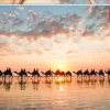 Educa Zonsondergang in Australië - puzzel 1000 stukjes