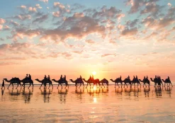 Educa Zonsondergang in Australië - puzzel 1000 stukjes