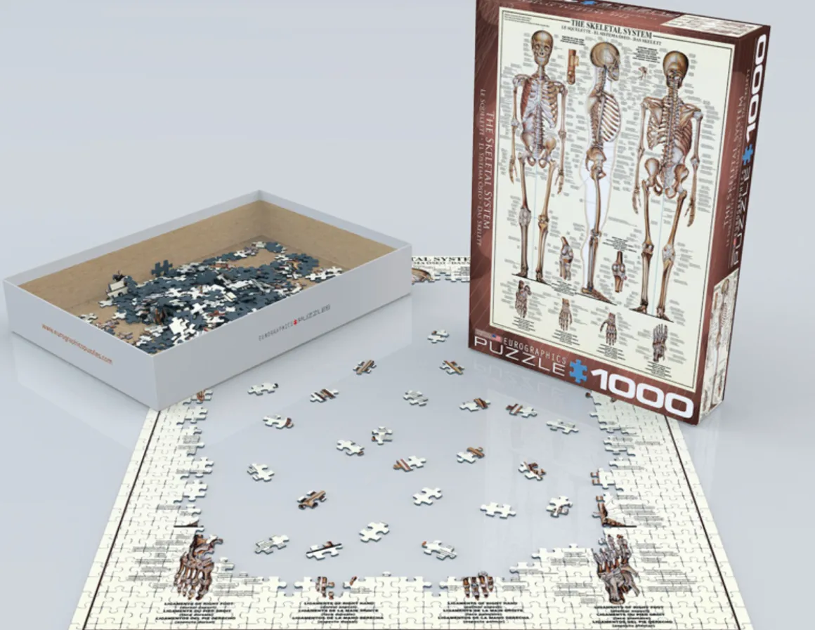 Eurographics Puzzles Het skeletsysteem - puzzel van 1000 stukjes
