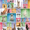 Eurographics Puzzles Yoga Dogs - Collage - puzzel van 1000 stukjes