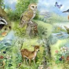 HOP Nature Study - 250 XL stukjes