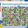 Ravensburger 99 Prachtige Vogels - puzzel van 300 XXL stukjes