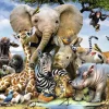 Ravensburger Afrikaanse vrienden - 300 stukjes XXL