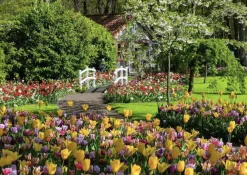 Ravensburger Bloemenpark Keukenhof - puzzel van 1000 stukjes